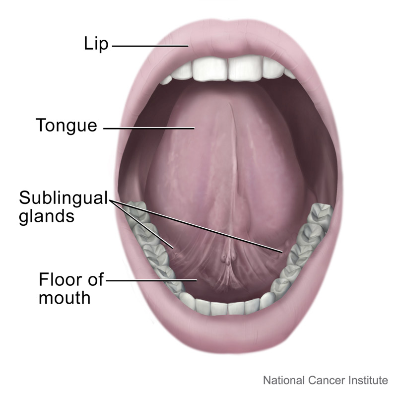 Blocked Salivary Gland - ENT Clinic Sydney
